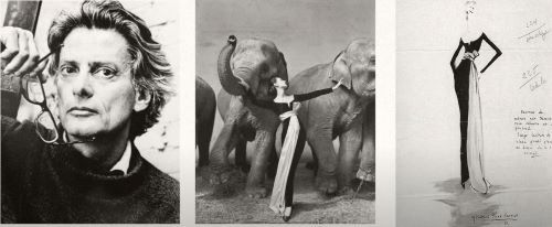 리차드 아베든의 사진