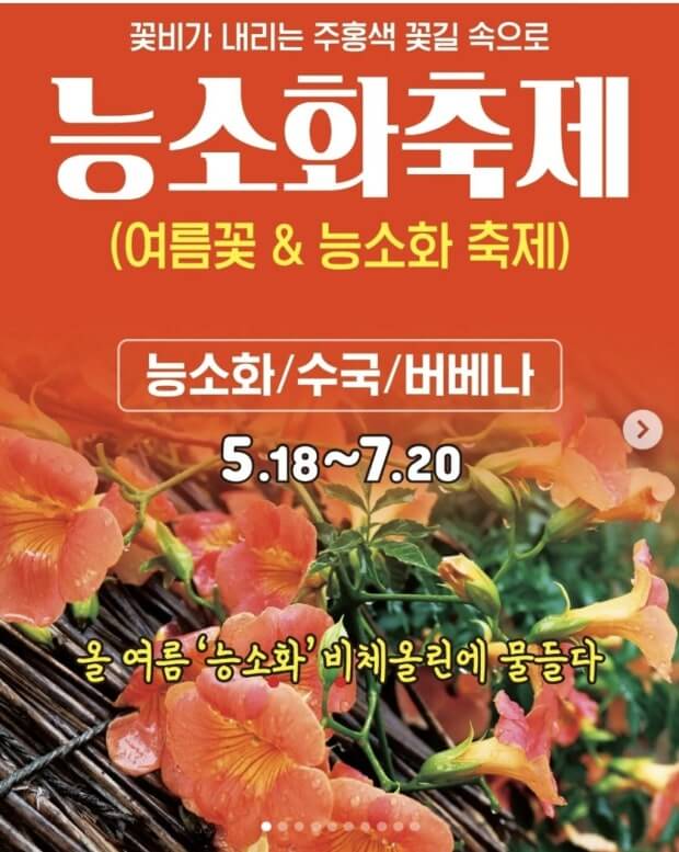 2025 제주 여름꽃&amp;능소화축제 일정 및 총정리 사진