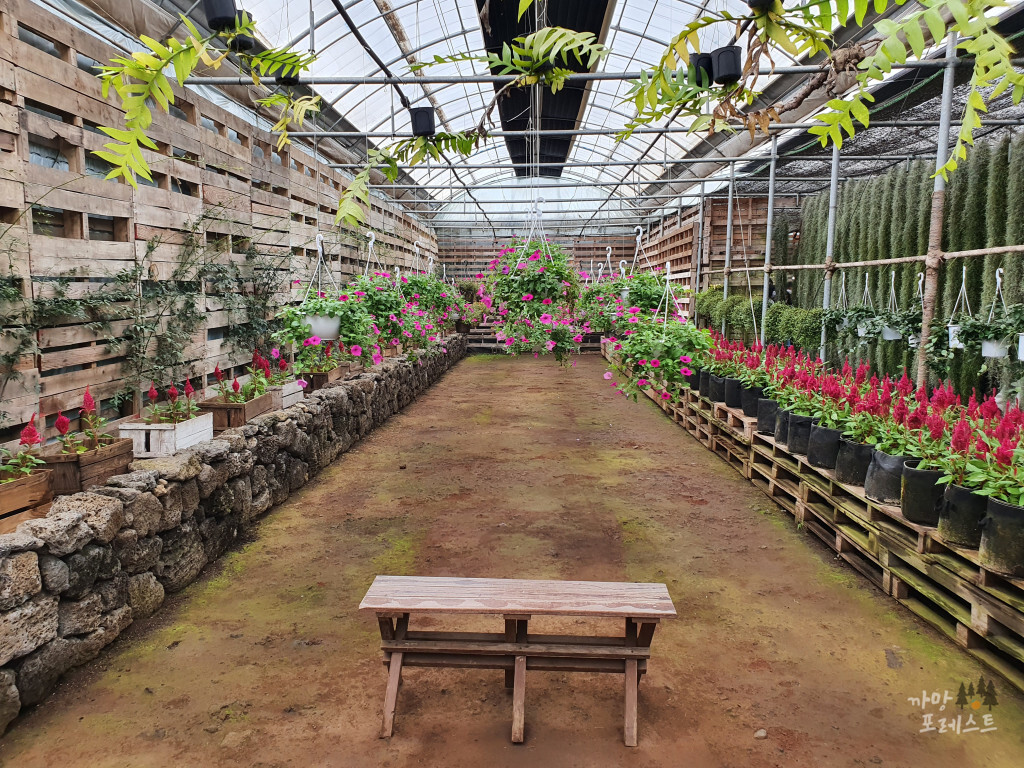 표선 보롬왓 정원