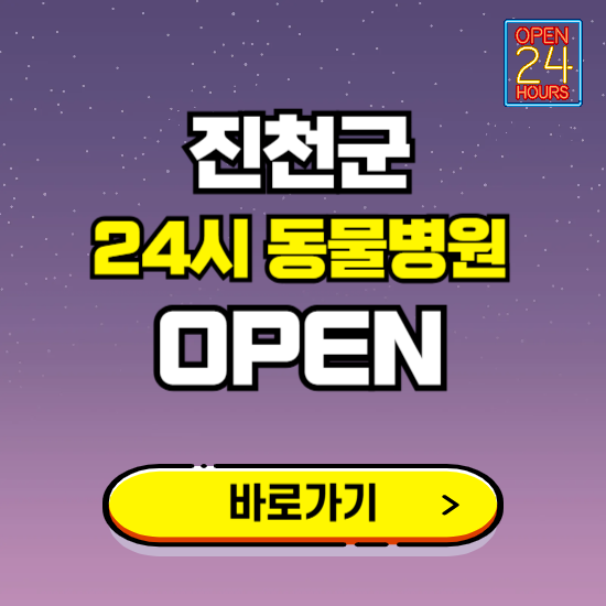 진천군 24시 동물병원 진료하는 곳 ❘ 설날 휴일 야간 심야 문여는곳 찾기 ❘ 응급진료