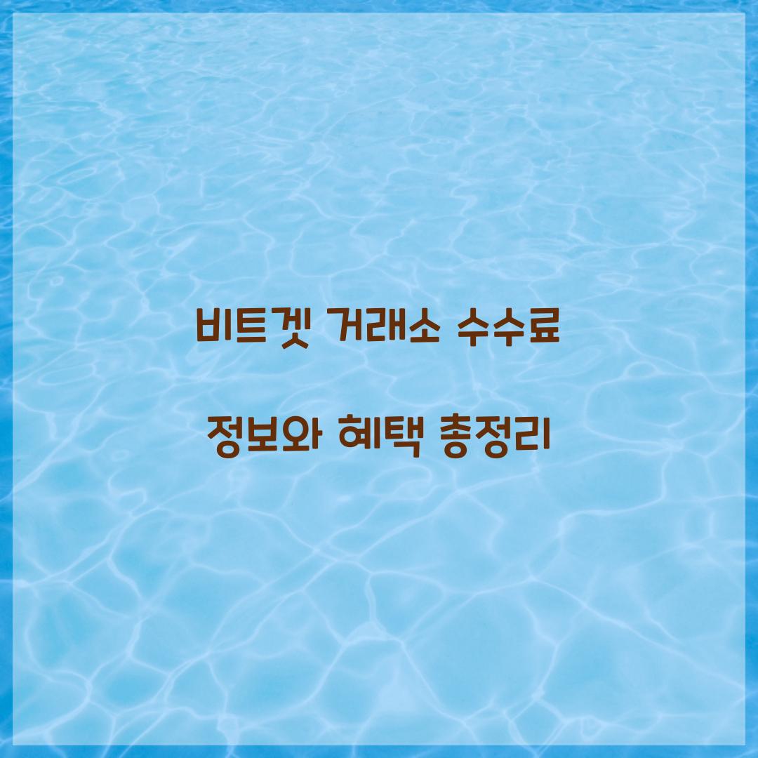 비트겟 거래소
