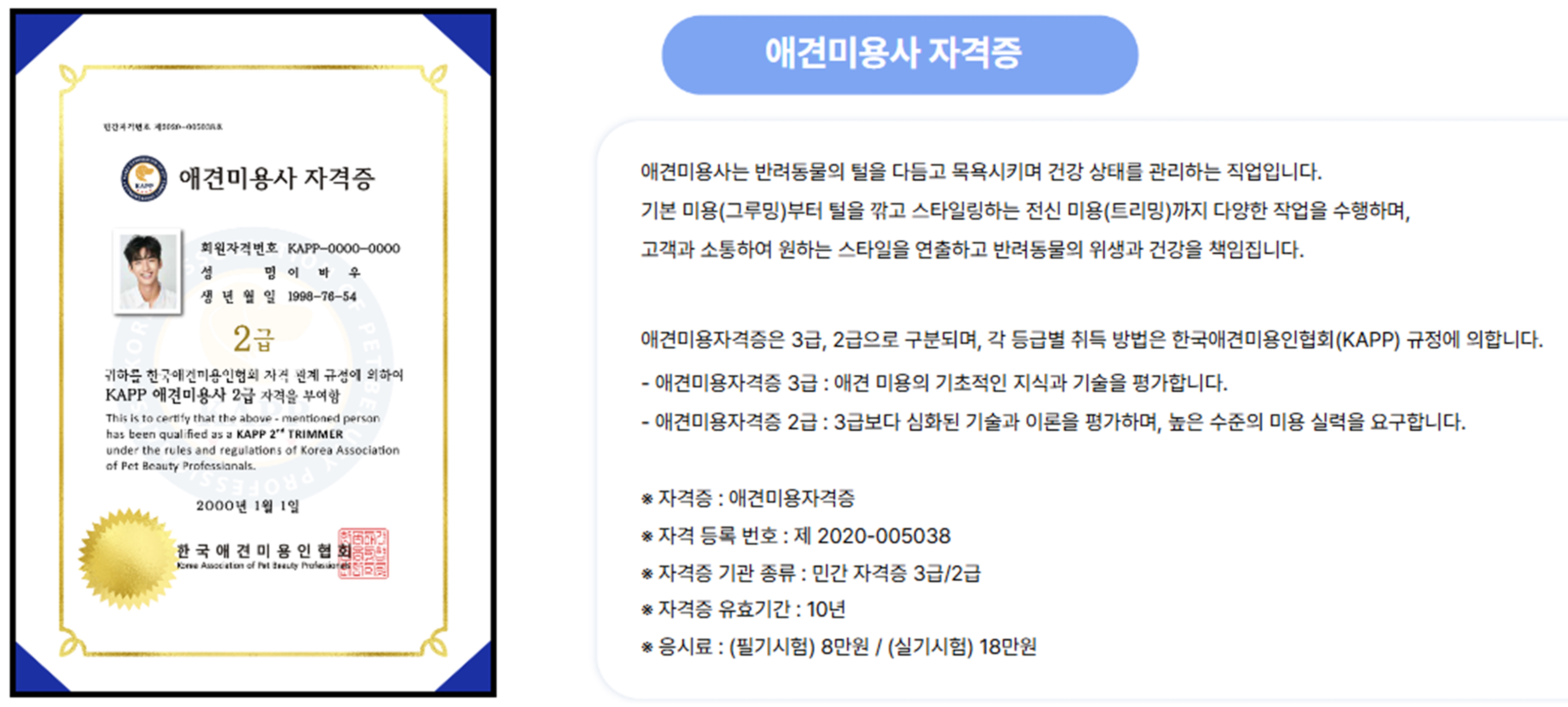 KAPP 애견미용 자격증