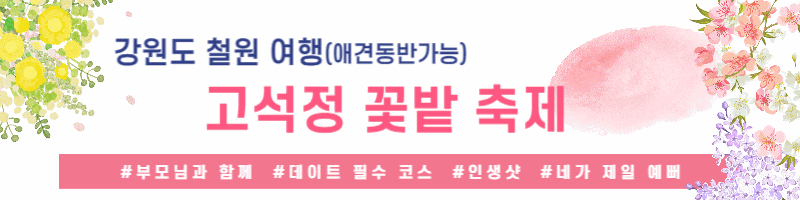 고석정 꽃밭