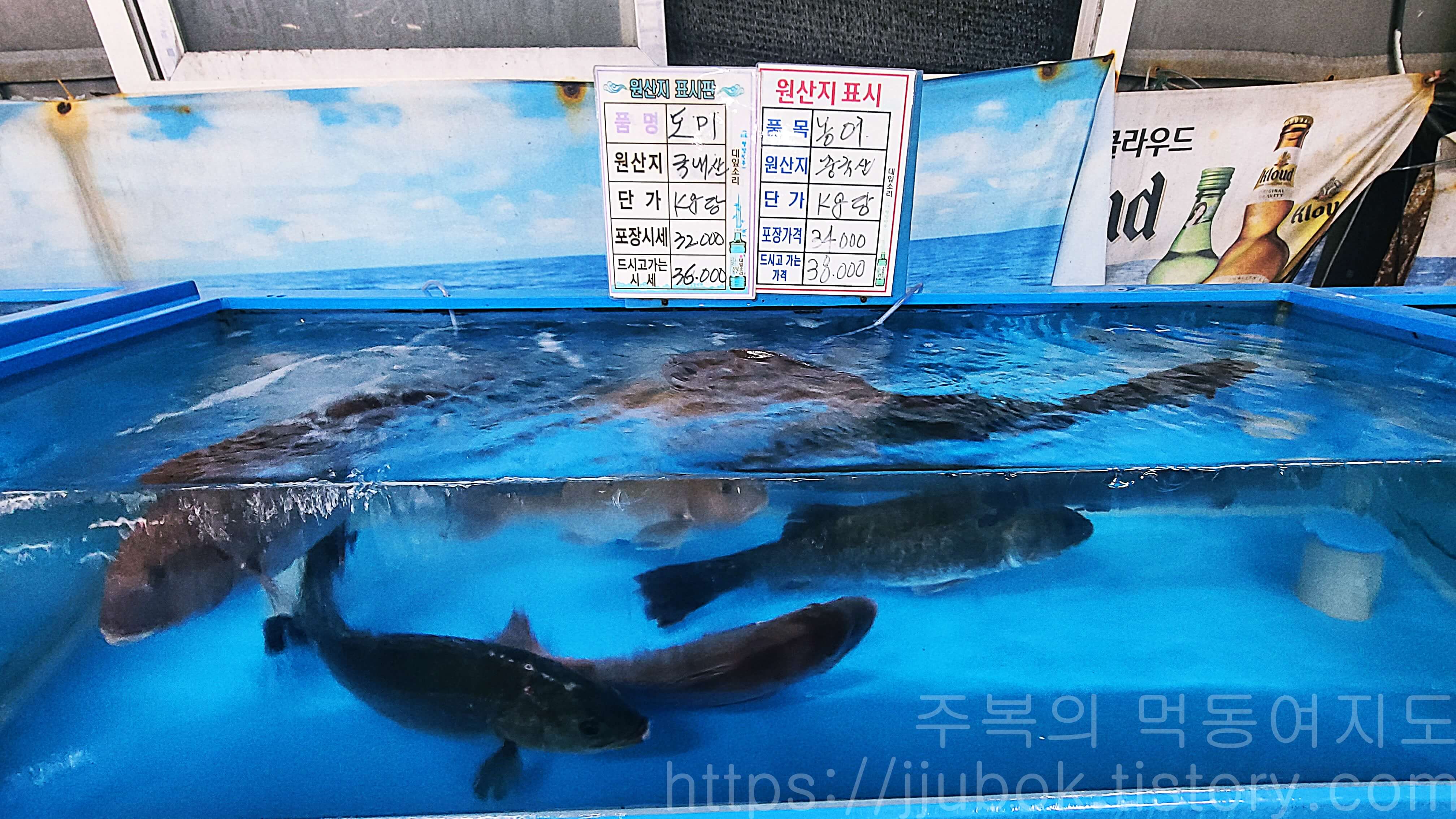 인천-작전동-싱싱활어-종합어시장-내부-수조-3