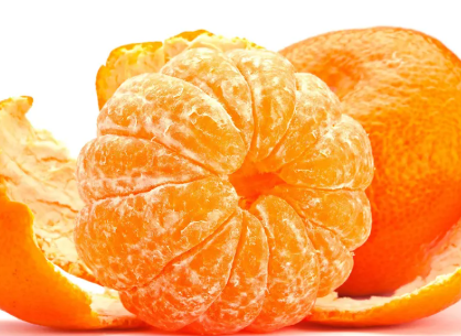 비염에 좋은 음식