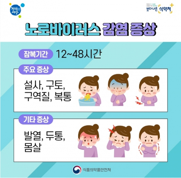 노로바이러스 증상