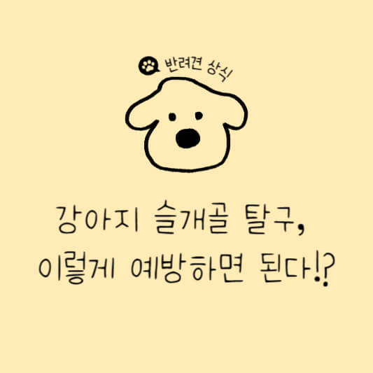 강아지 슬개골 탈구를 위한 예방법