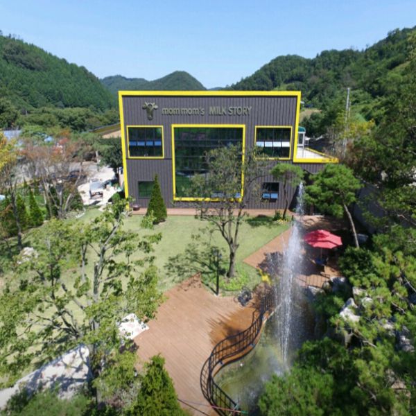 맘맘스