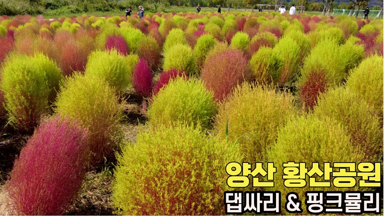 양산 가볼만한곳 - 황산공원