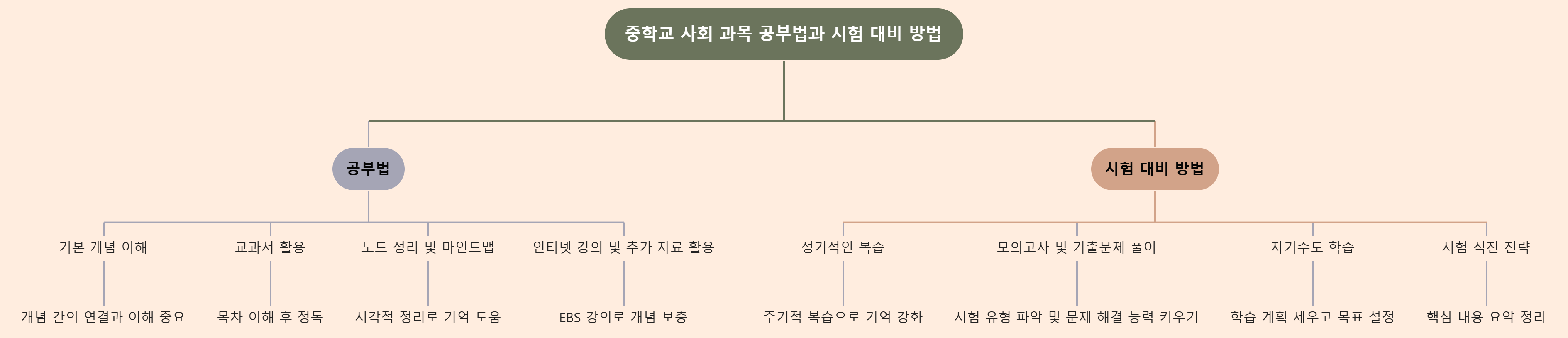 중학교 사회 공부: 개념 이해, 학습 도구 활용, 시험 대비