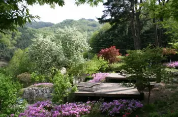 축령산 자연휴양림 야영장_2