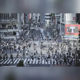 일본 인구 현황 행정구역 특징_17