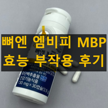 뼈엔 엠비피 MBP