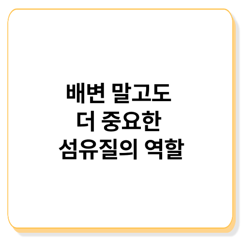 식이섬유 부족이 부르는 몸의 변화들, 지금 점검해보세요