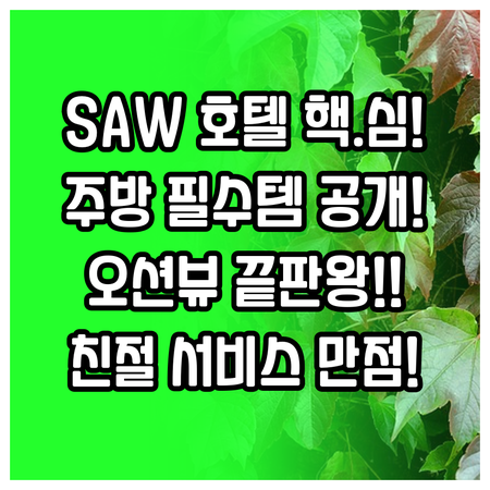 SAW 공항 호텔 주방 시설 바다 전..