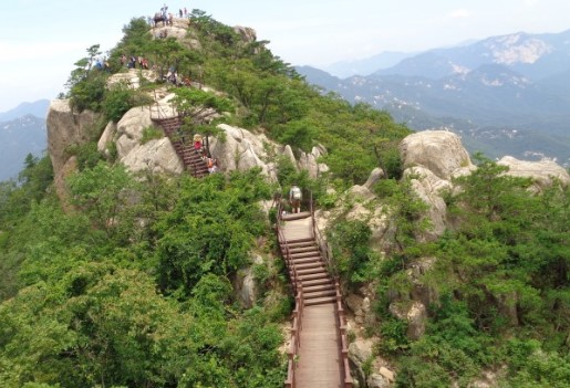 대야산 봄꽃축제 및 등산코스