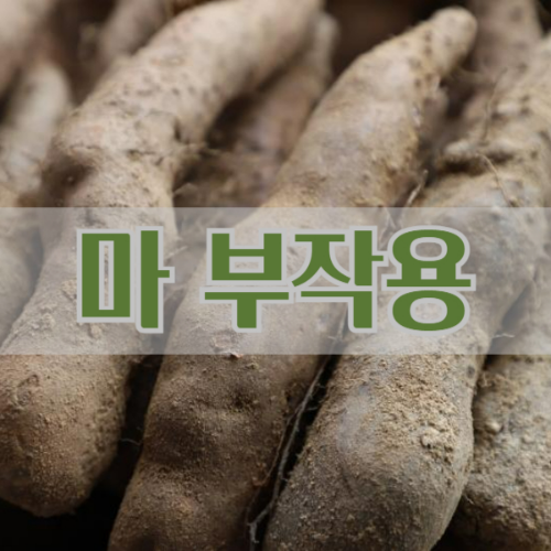 마 부작용