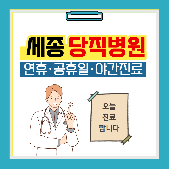 세종 당직병원 찾기