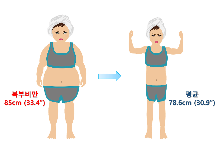 여성-평균-허리둘레와-복부비만-기준-이미지