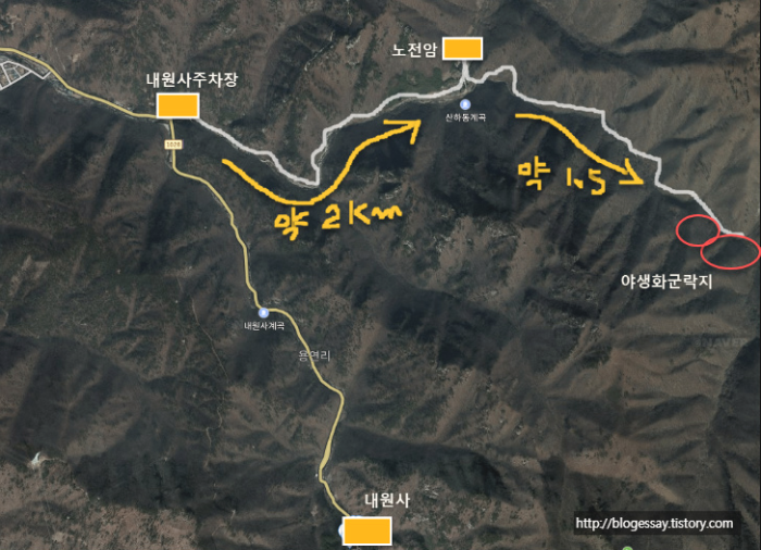 천성산 야생화 지도