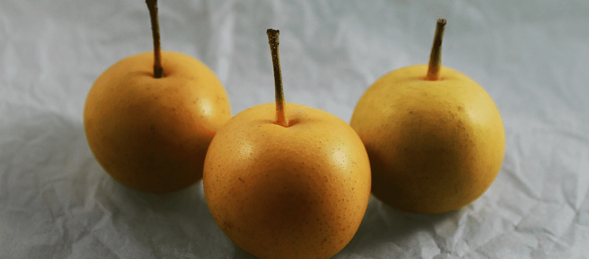 과일 배 사진 - 22