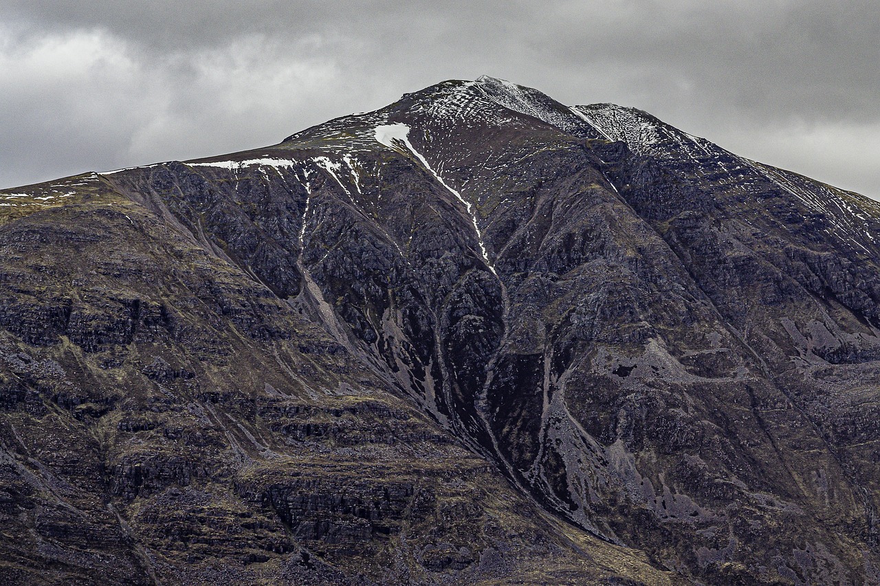 지역의료보험료