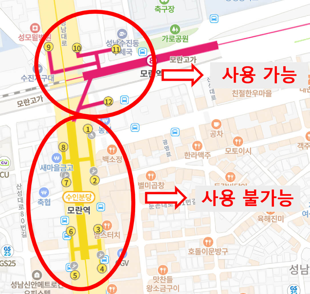 모란