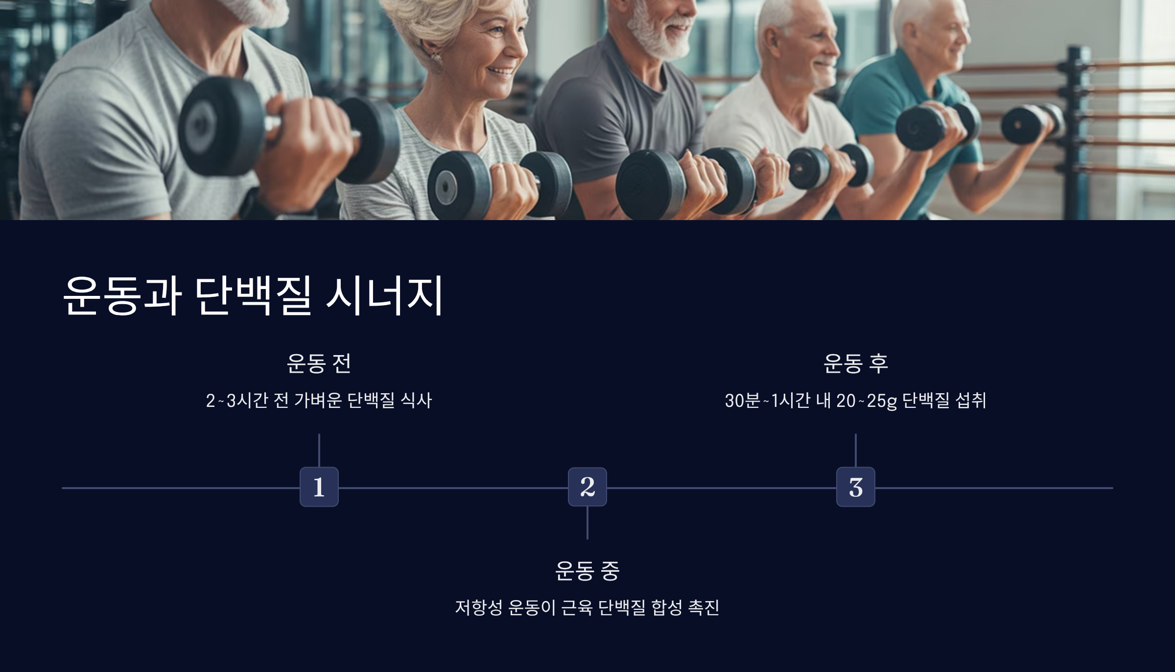 운동이 단백질 흡수에 미치는 영향