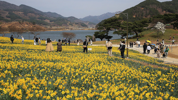 3월 국내 여행지 추천