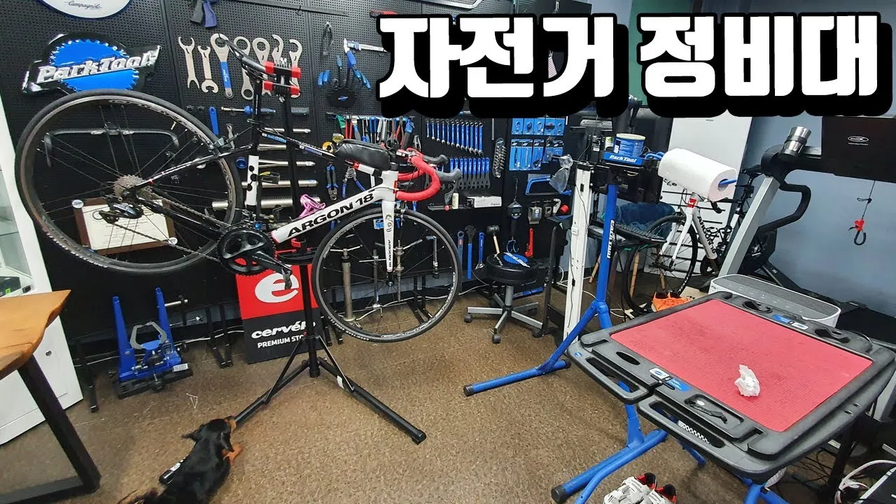 자전거 정비 주기 점검 브레이크 패드 체인 마모 휠 트루닝_1