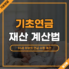 노령연금 수급자격 재산