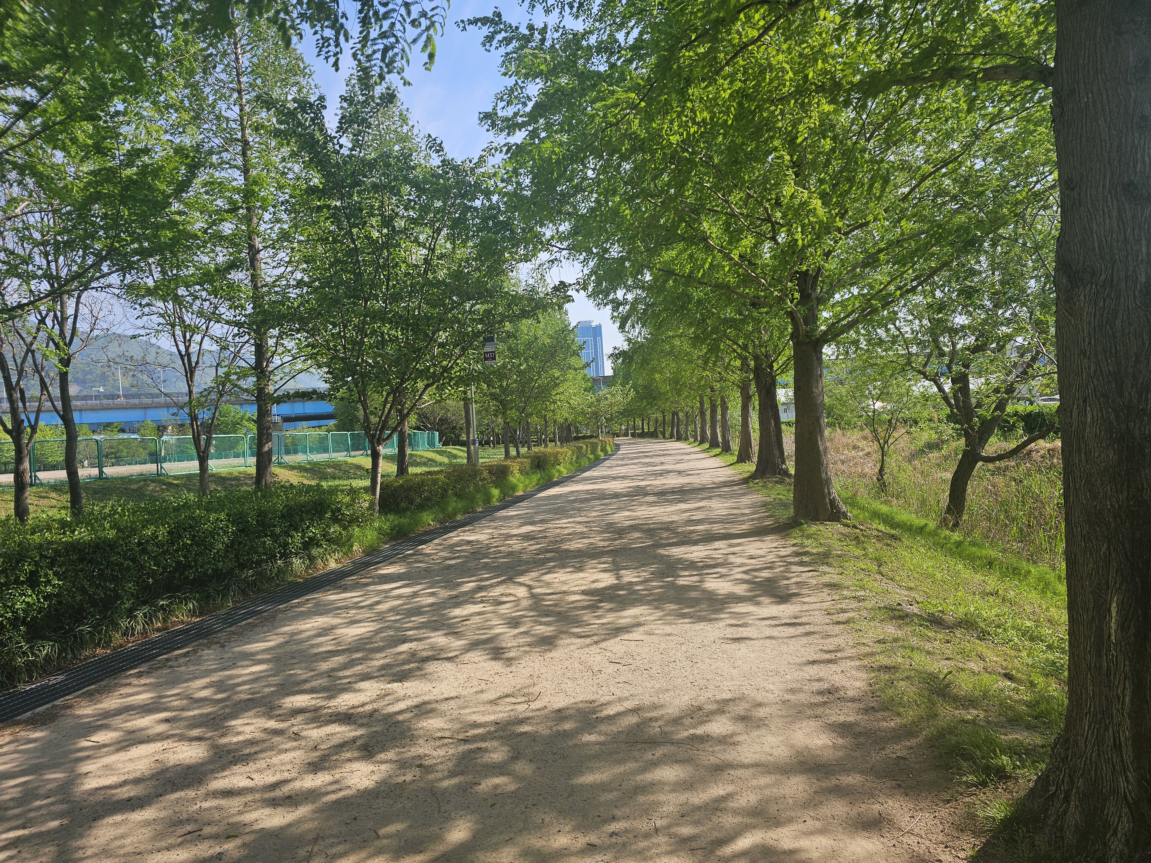 화명생태공원 힐링 산책지 추천 사진