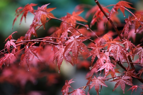 설악산 케이블카 예약 주차장