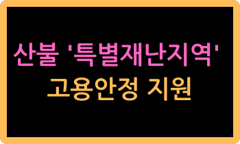 산불 '특별재난지역' 고용안정 지원