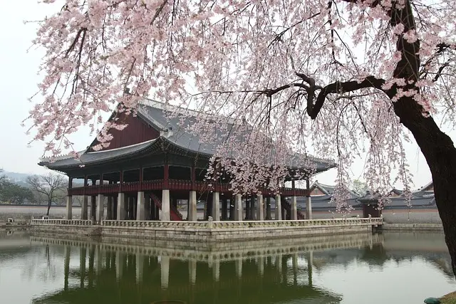 경복궁 사진