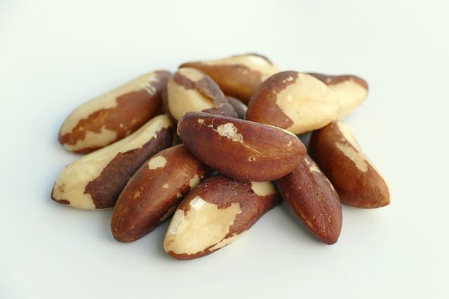 셀레늄이 풍부한 겨울 제철 재료