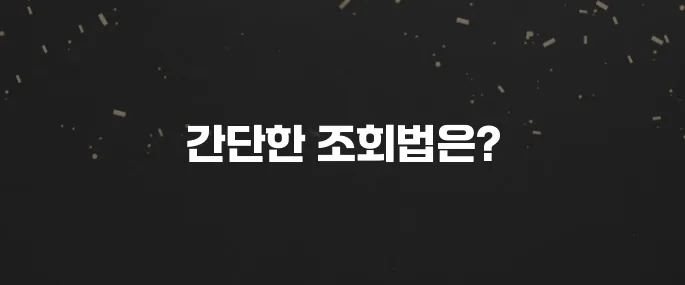 내 여권번호 잊었다면? 간단 조회 방법 (온라인 가능?)