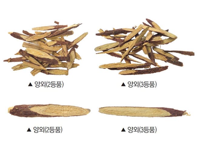 양외 감초 등급별 단면