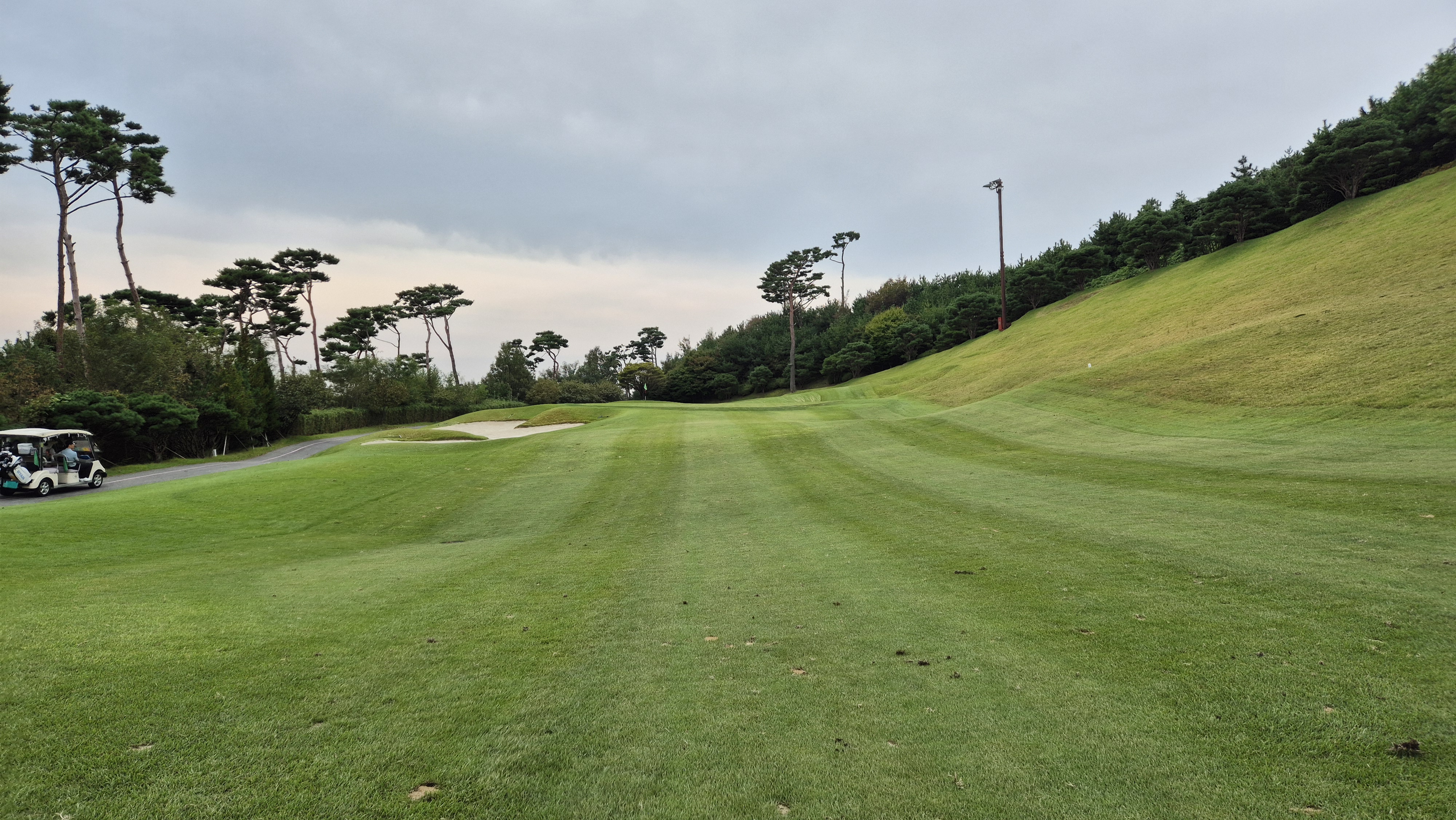 서산수cc 코스 사진 및 공략 정보