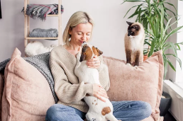 암컷 강아지 중성화/출처:어도비스톡