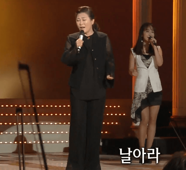 허영란 날개