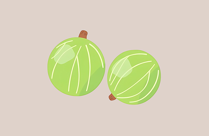 구스베리-하루-섭취-권장량