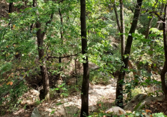 Alt 속성 문제 해결 설명 이미지