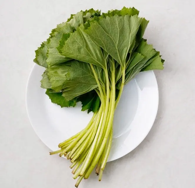 머위 데치기 및 먹는법