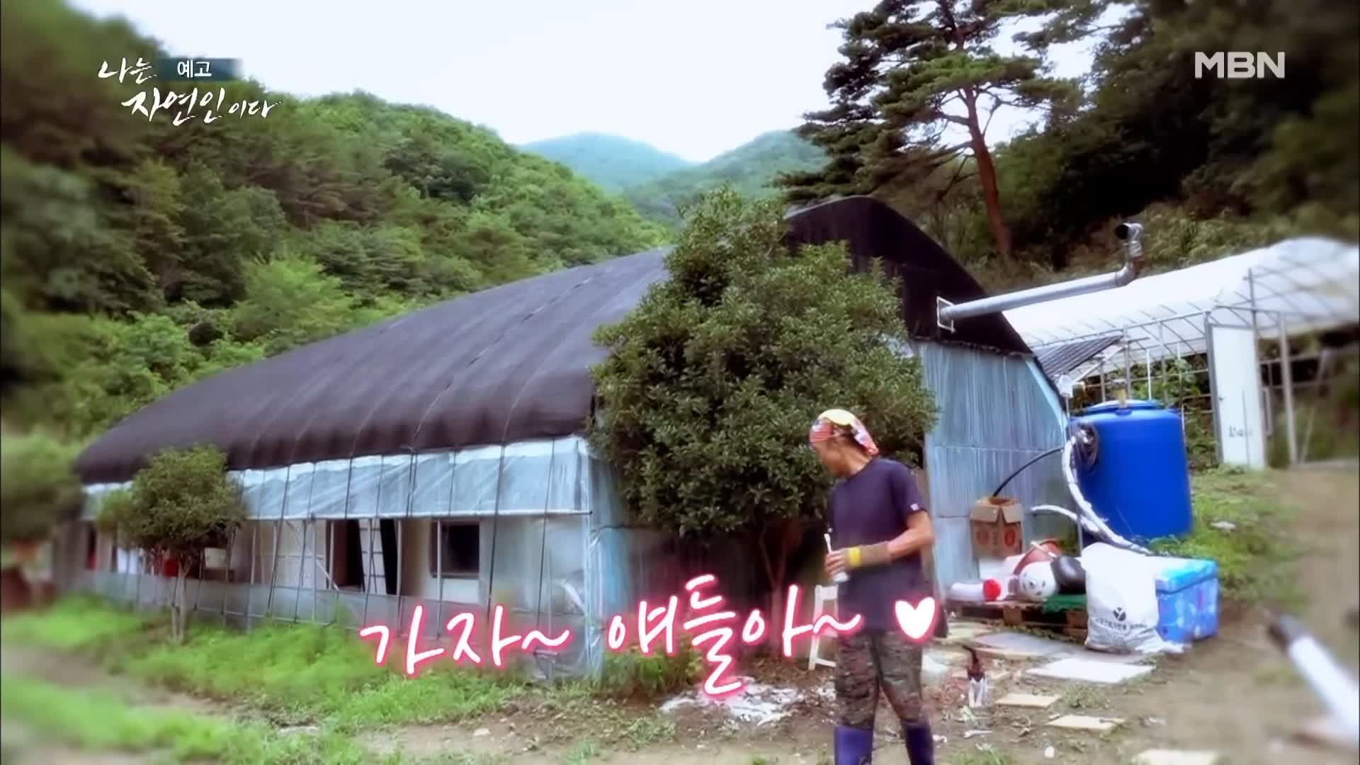 이승윤 윤택 나는 자연인이다 513회 오랜 장사로 건강을 잃은 자연인 나의 다채로운 생활 이재홍 소개 및 출연 다시보기