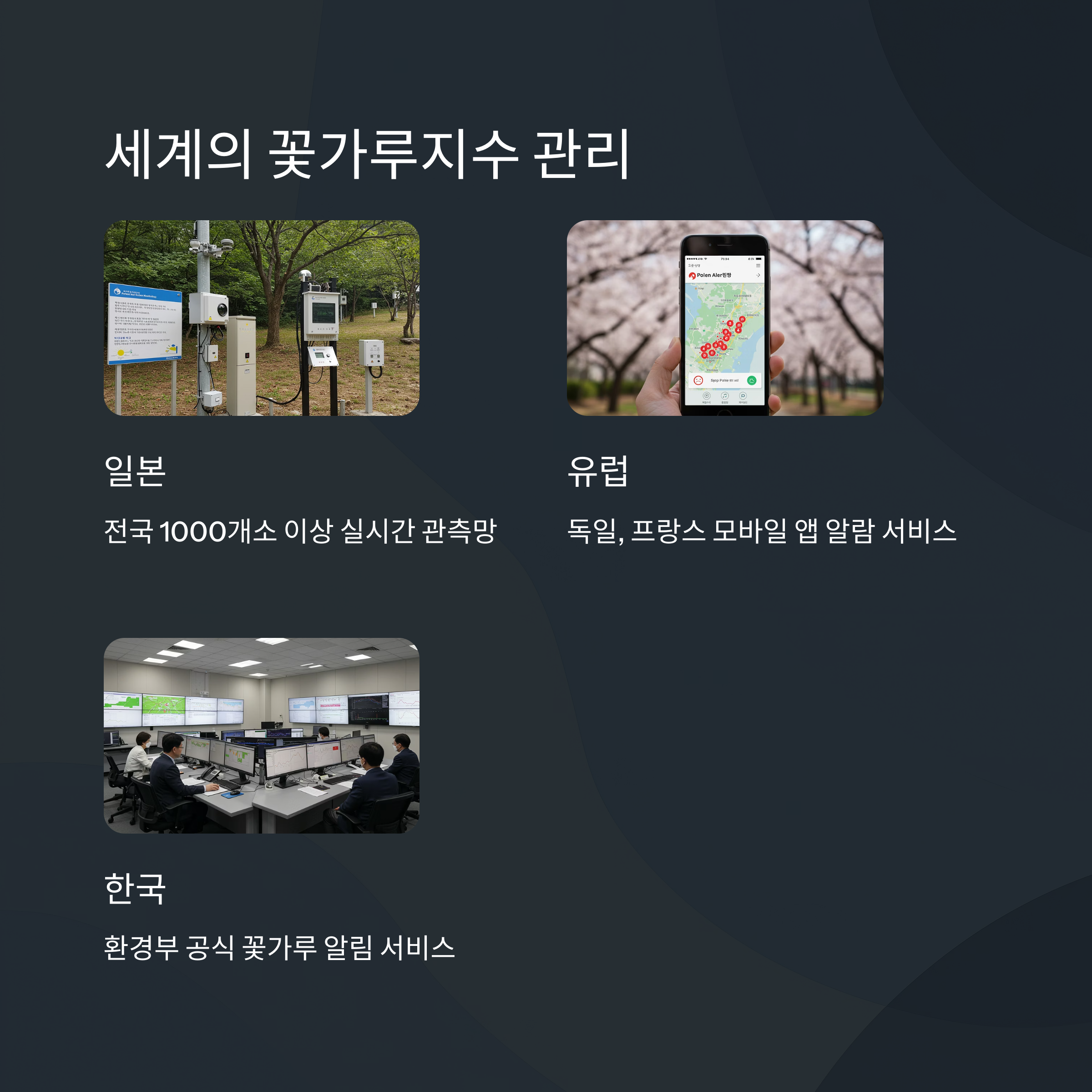 세계 각국의 꽃가루지수 관리