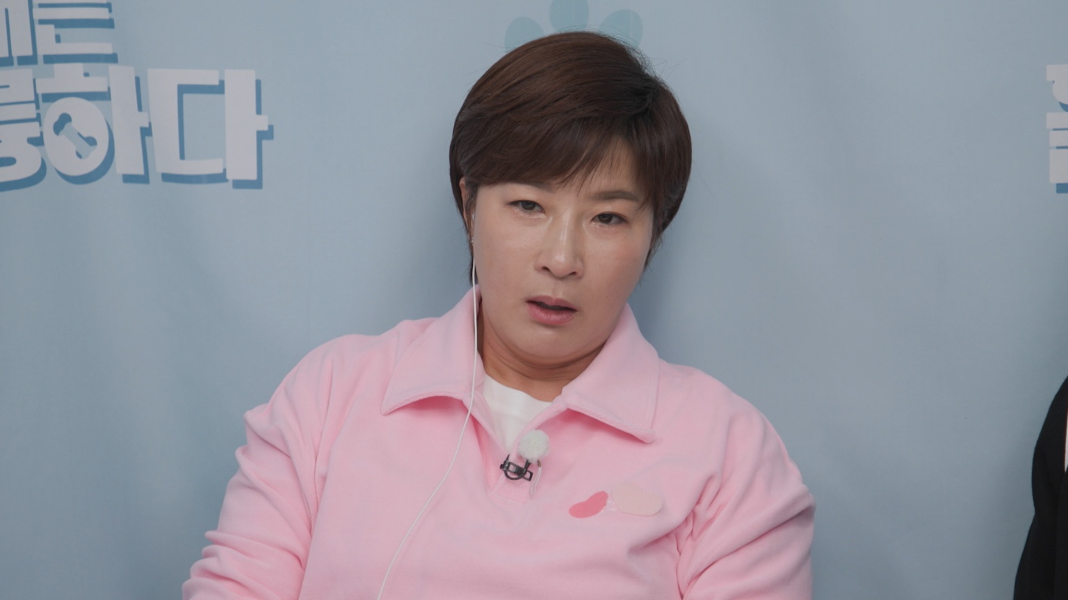 개는 훌륭하다 담비편