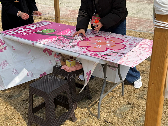 광양매화축제 기간 입장료 개화상황 프로그램 주차장 셔틀버스 25년3월8일실시간사진