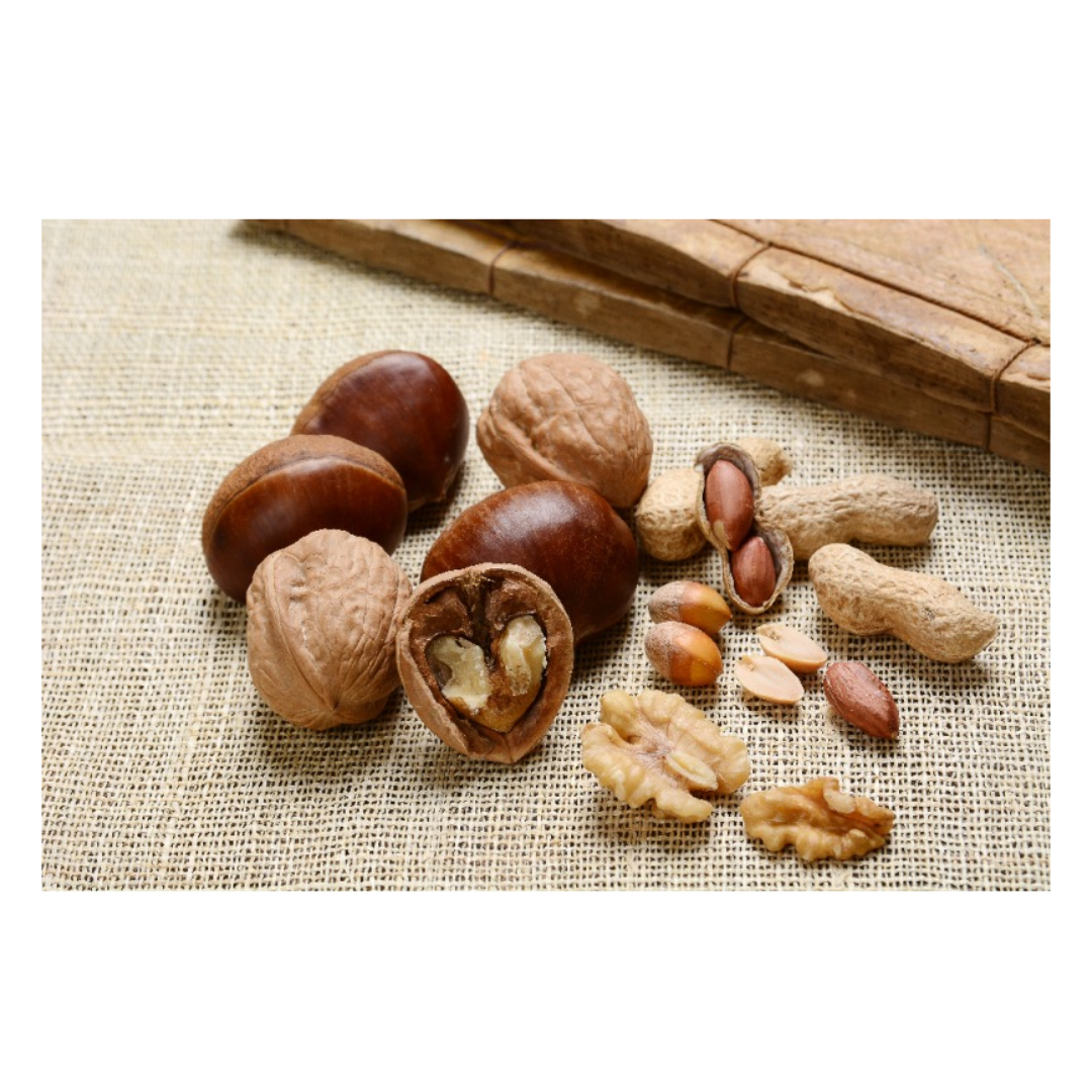 코큐텐과 관련된 사진입니다.