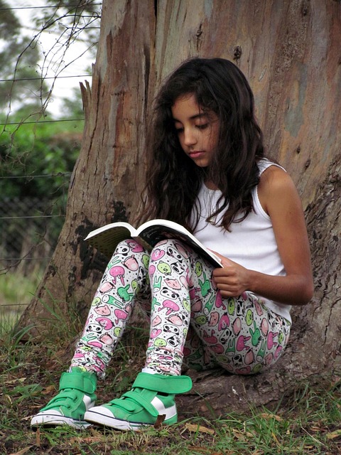 뱀에게 쫓기는 꿈 해몽 풀이